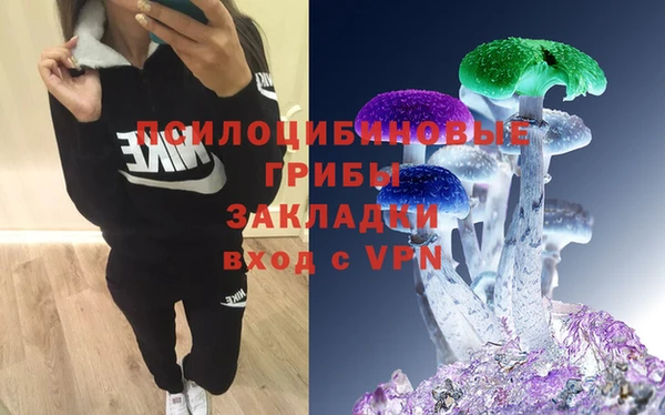 круглые Гусь-Хрустальный