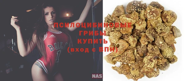 круглые Гусь-Хрустальный