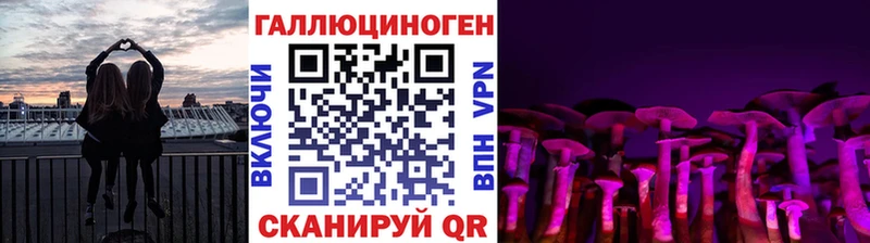 Галлюциногенные грибы Psilocybine cubensis Купить где Сальск