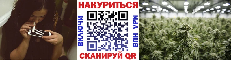Бошки марихуана SATIVA & INDICA  Купить где  Сальск 